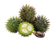 Castor oil