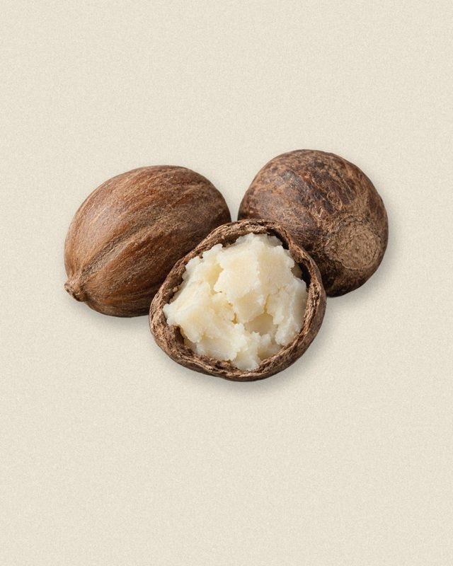 Shea nuts with a cracked shell of butter