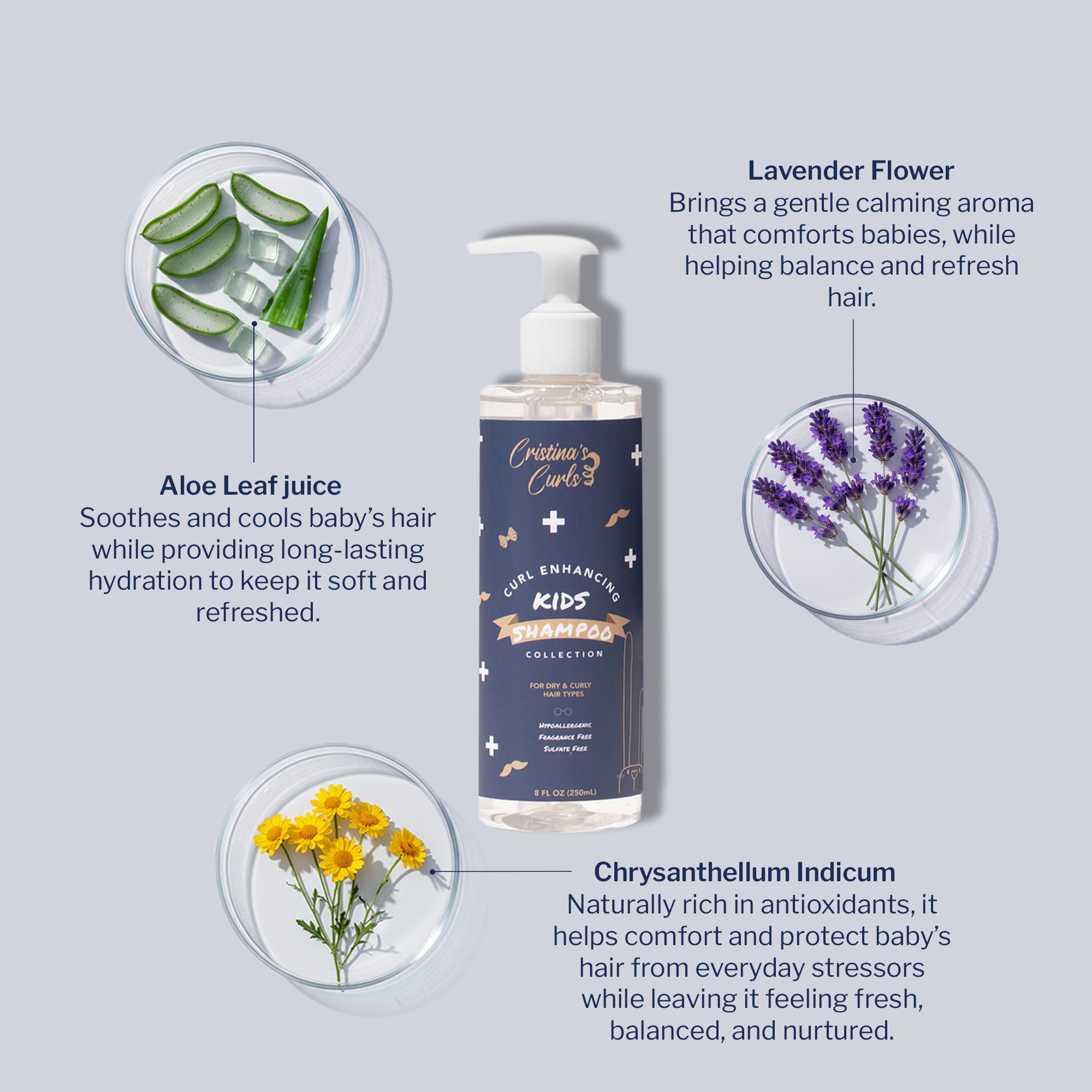 Curl Enhancing Starter Set | Shampoo, Deep Conditioner & Cream