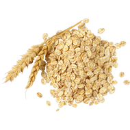 Colloidal oatmeal