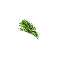A sprig of rosemary leaves.