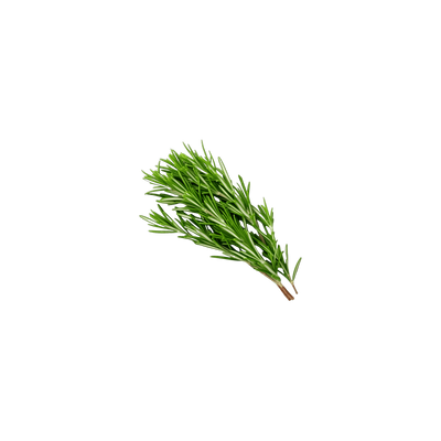 Rosemary